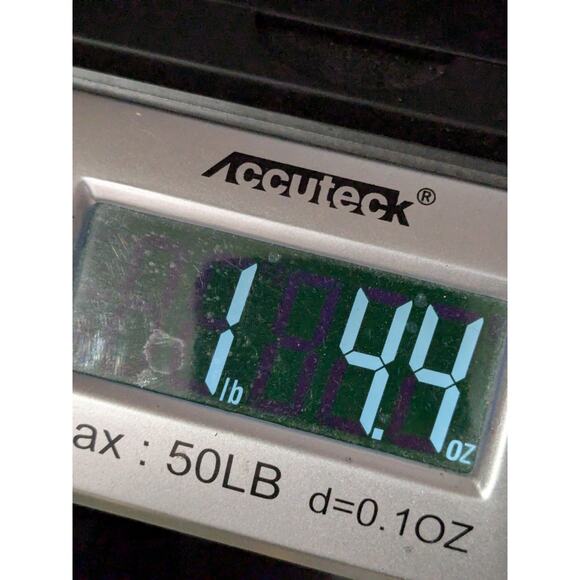 LL Bean Allagash Shorts Mens 44x10 Cotton Cargo Summer Everyday Pockets - Picture 9 of 9